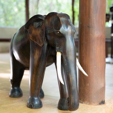 Kaala Kalaththewa Luxury Eco Resort Anuradhapura Kültér fotó