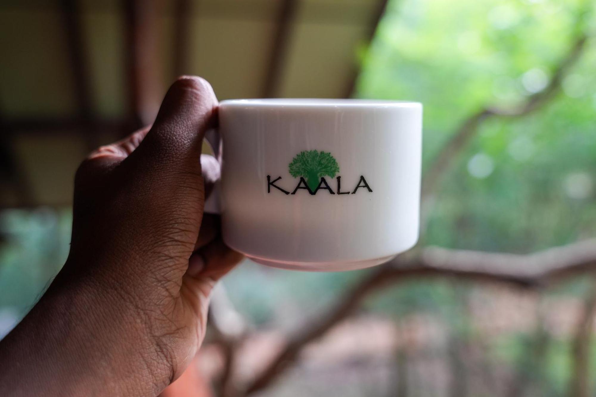Kaala Kalaththewa Luxury Eco Resort Anuradhapura Kültér fotó
