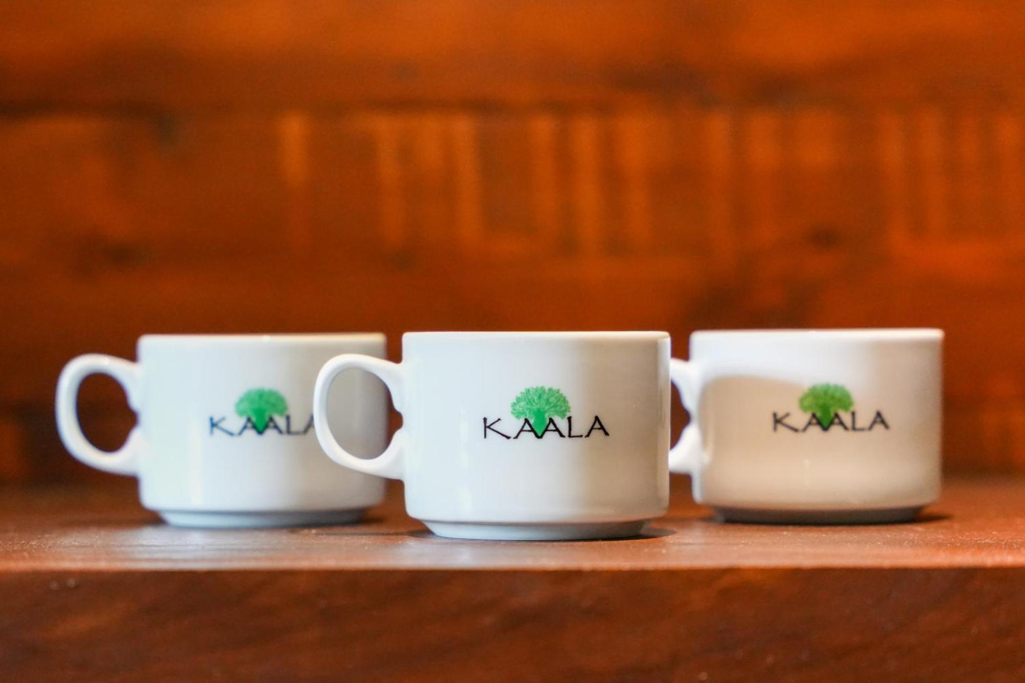 Kaala Kalaththewa Luxury Eco Resort Anuradhapura Kültér fotó