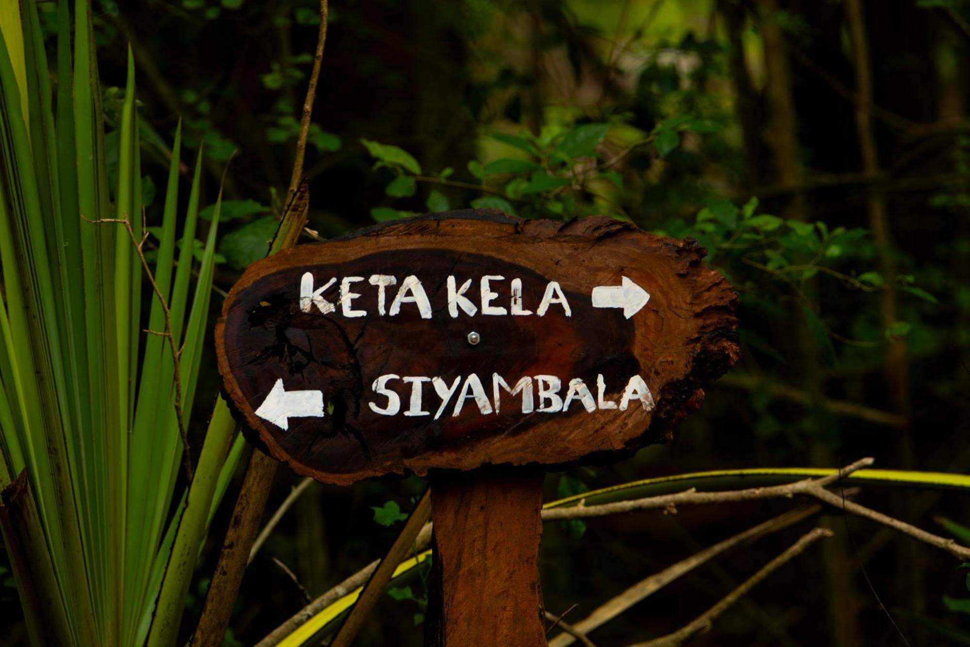 Kaala Kalaththewa Luxury Eco Resort Anuradhapura Kültér fotó