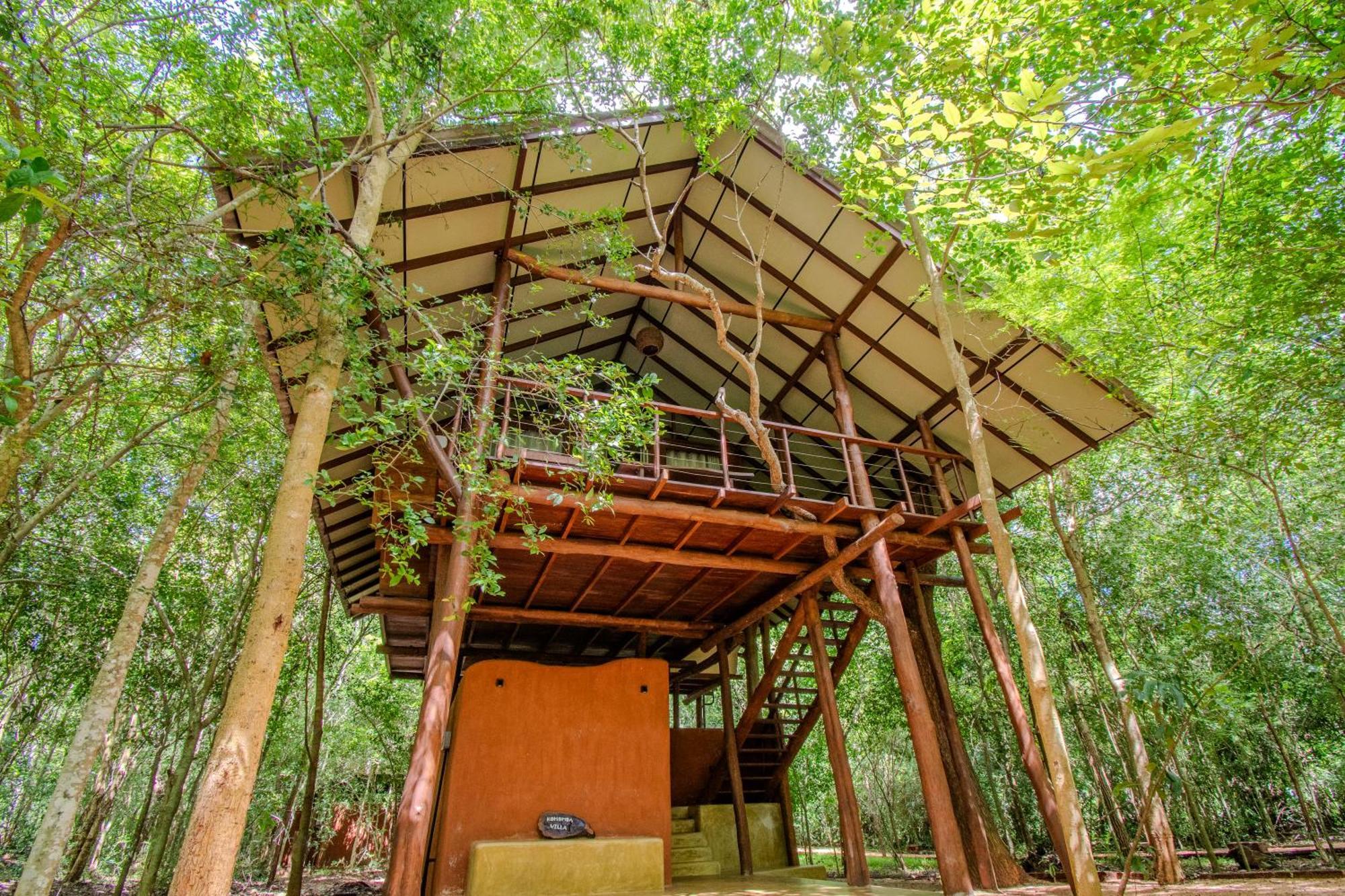 Kaala Kalaththewa Luxury Eco Resort Anuradhapura Kültér fotó