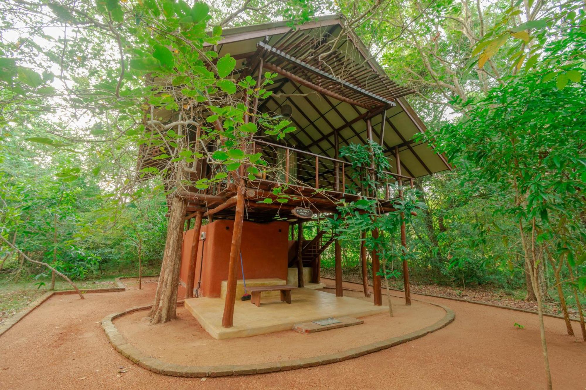 Kaala Kalaththewa Luxury Eco Resort Anuradhapura Kültér fotó
