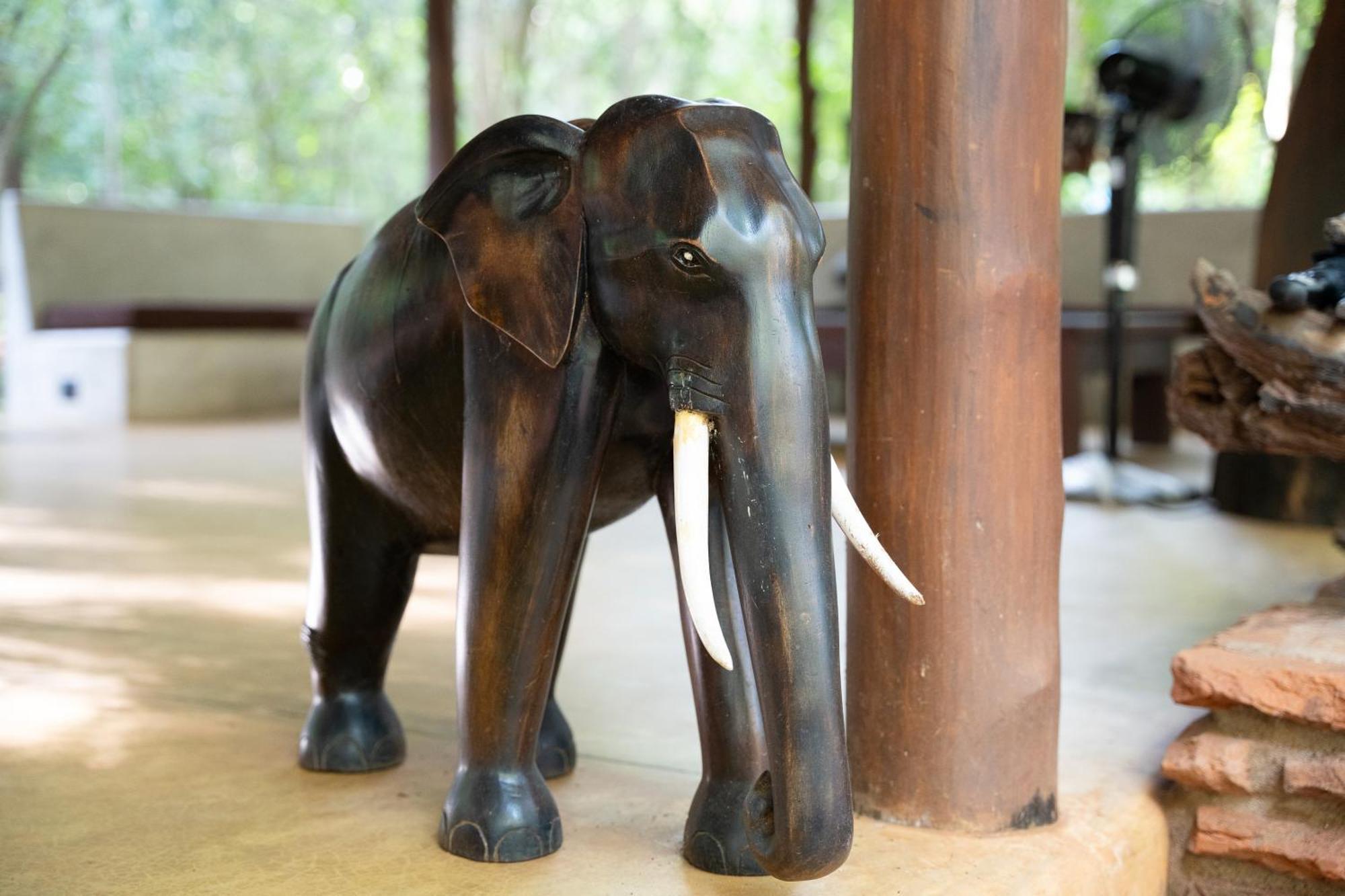 Kaala Kalaththewa Luxury Eco Resort Anuradhapura Kültér fotó